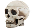 Skull Head Box Ashtray