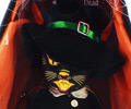 Living Dead Dolls Series 32: Salem (Black Cat Witch)