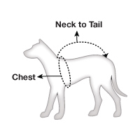 How to measure your dog