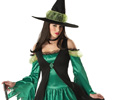 Emerald Witch Costume