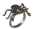 Spider Ring