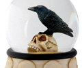 Raven on Skull in Water Globe